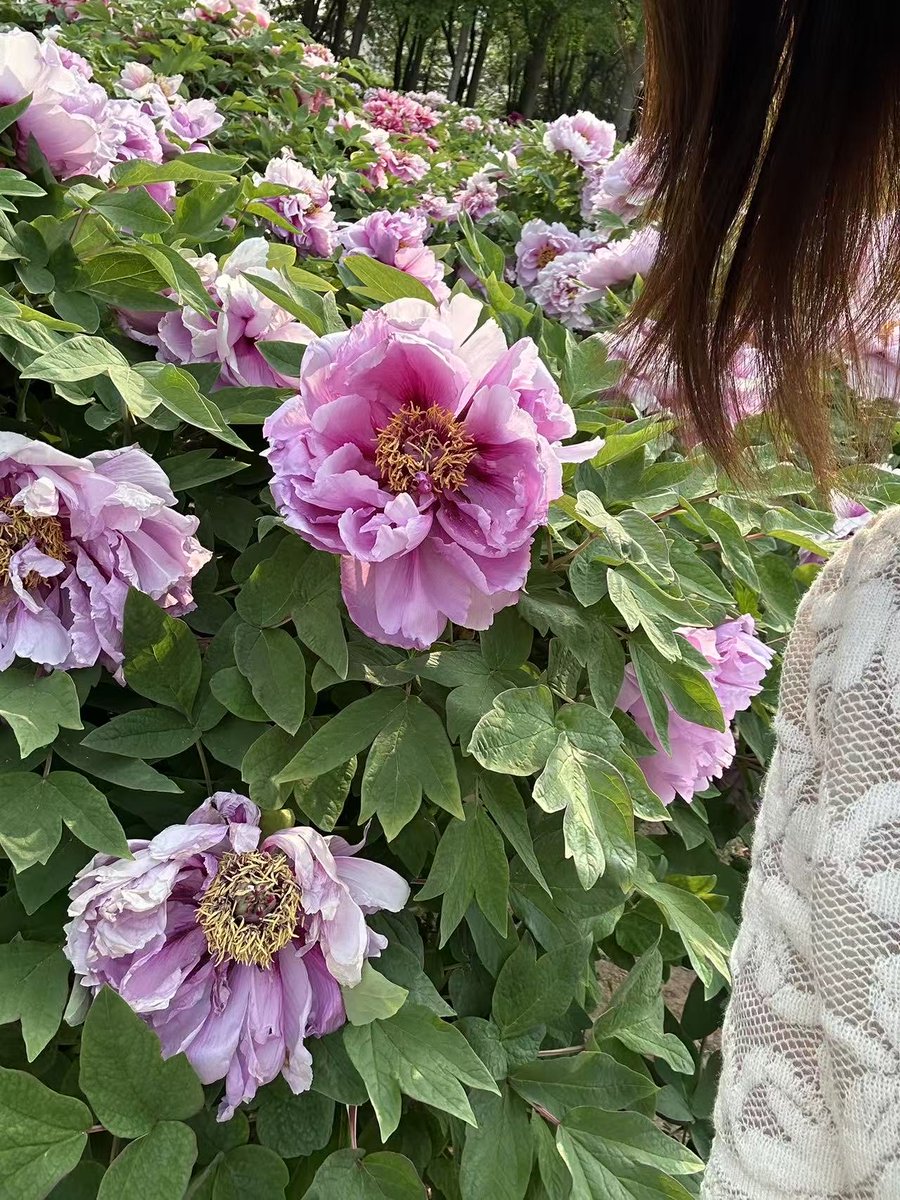 甜甜在这里 tweet media