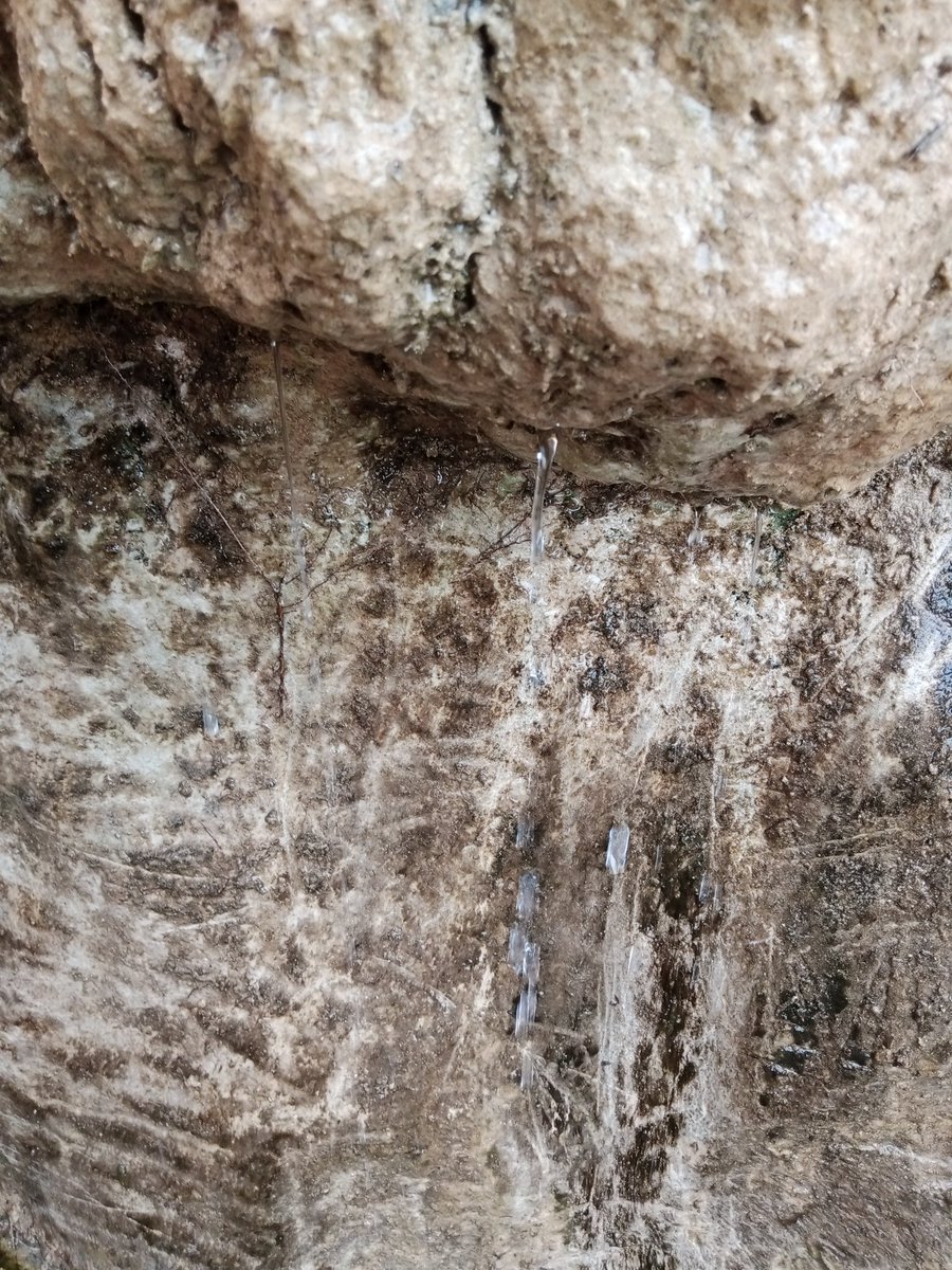 شرارة التعيسة tweet media