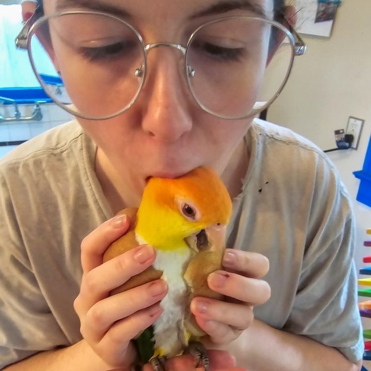 Out of Context Birds tweet media