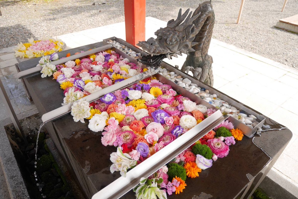 美濃国一宮 南宮大社【公式】 tweet media