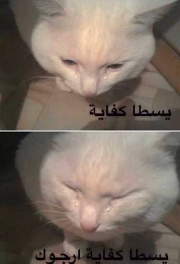 𝑺𝒗𝒆스𝐁𝐚𝐫𝐭𝐡𝐨𝐥𝐨𝐦𝐞𝐰 tweet media