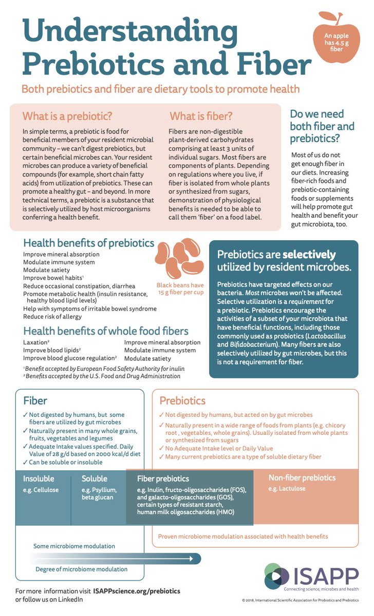 GutMicrobiotaWW's tweet image. Do you know the difference between #fiber and #prebiotics? 

This @ISAPPscience infographic explains the nuances you need to know

👇👇👇