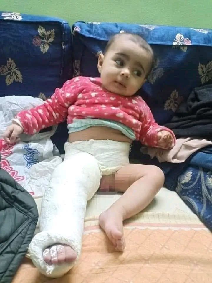 سامي الخليفي tweet media