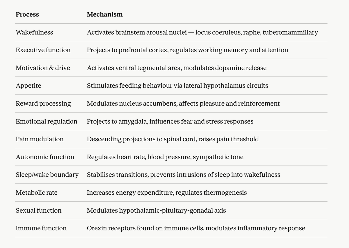 every day I learn something new about biology

turns out orexin regulates all the processes below

if you bind to the OX2R agonist with a peptide, around 20,000 cells in the hypothalamus print orexin

neuro-inflammation stops orexin production

we're bio/acc