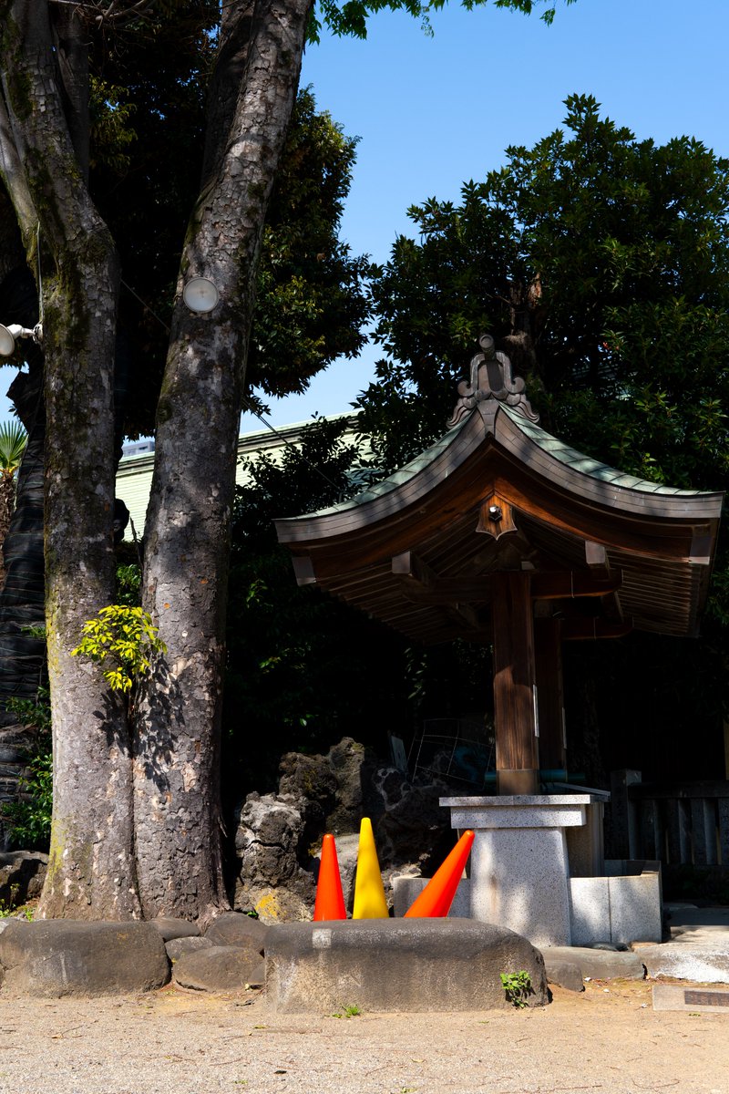 yuka1093's tweet image. 【東京カメラ 第219歩】
α7V＆FE 50mm F1.4 GMでスナップ撮影！
YouTubeぜひ、ご覧ください📷😊
youtu.be/hKaOIlyqgWs

#SonyAlpha
#これソニーで撮りました
#写真好きな人と繋がりたい