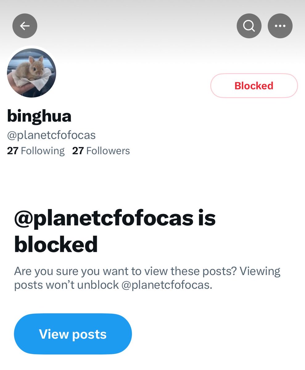 LEO INTERNATIONAL PROTECTION tweet media