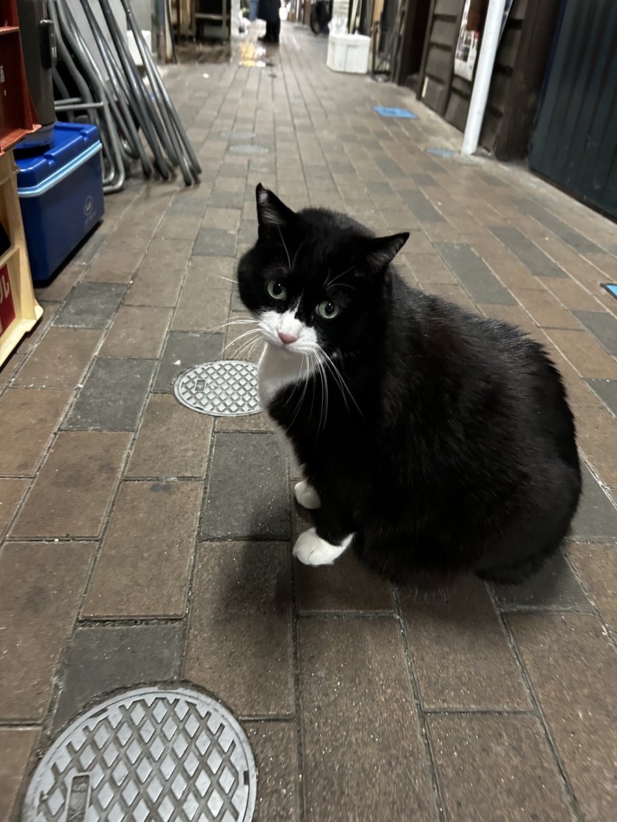 がたい tweet media