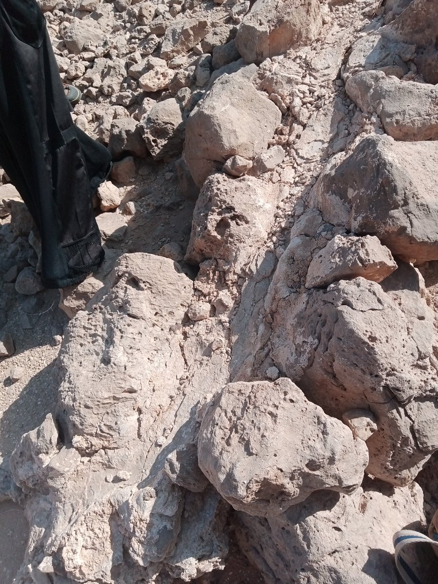 شرارة التعيسة tweet media