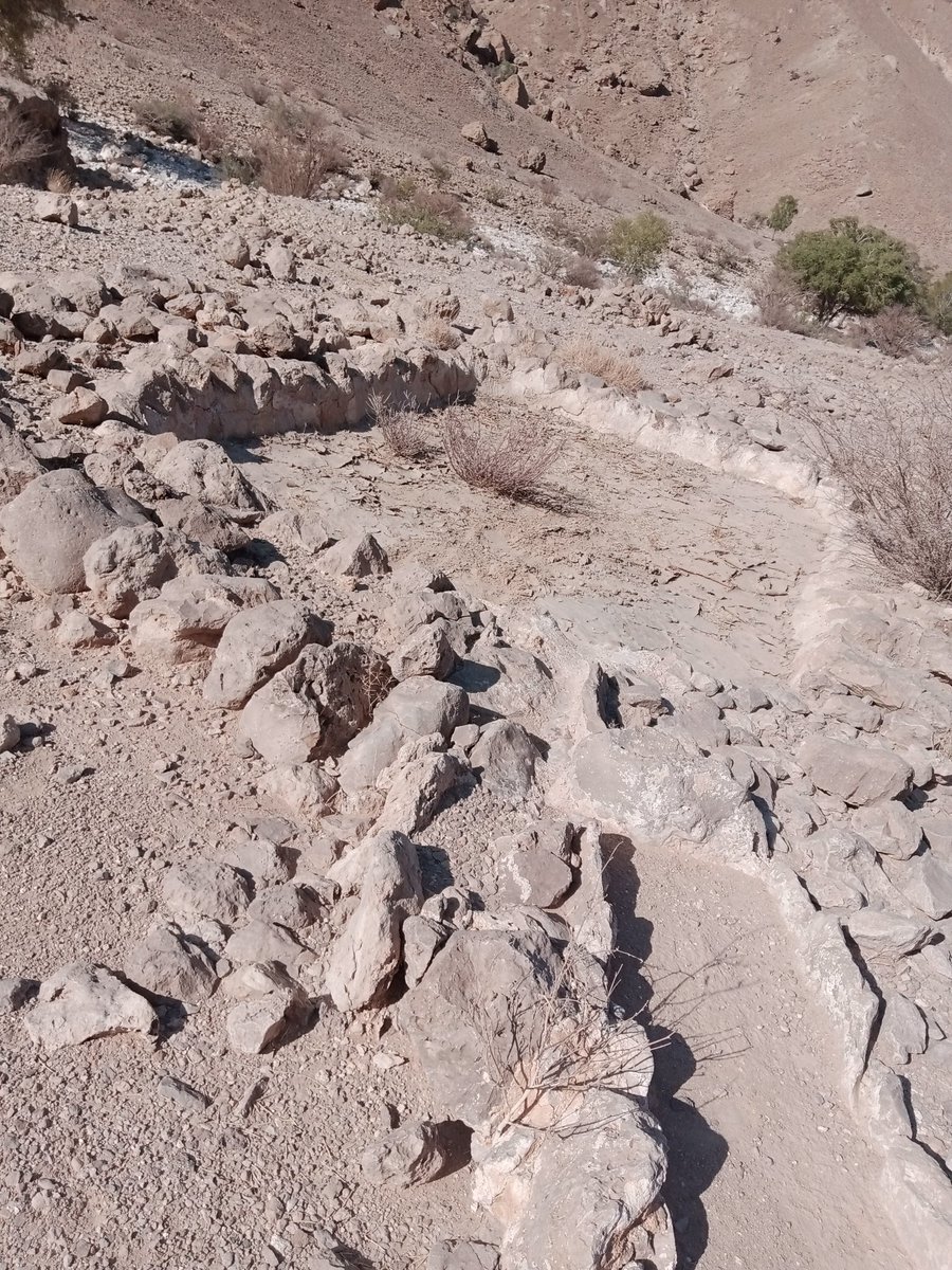 شرارة التعيسة tweet media