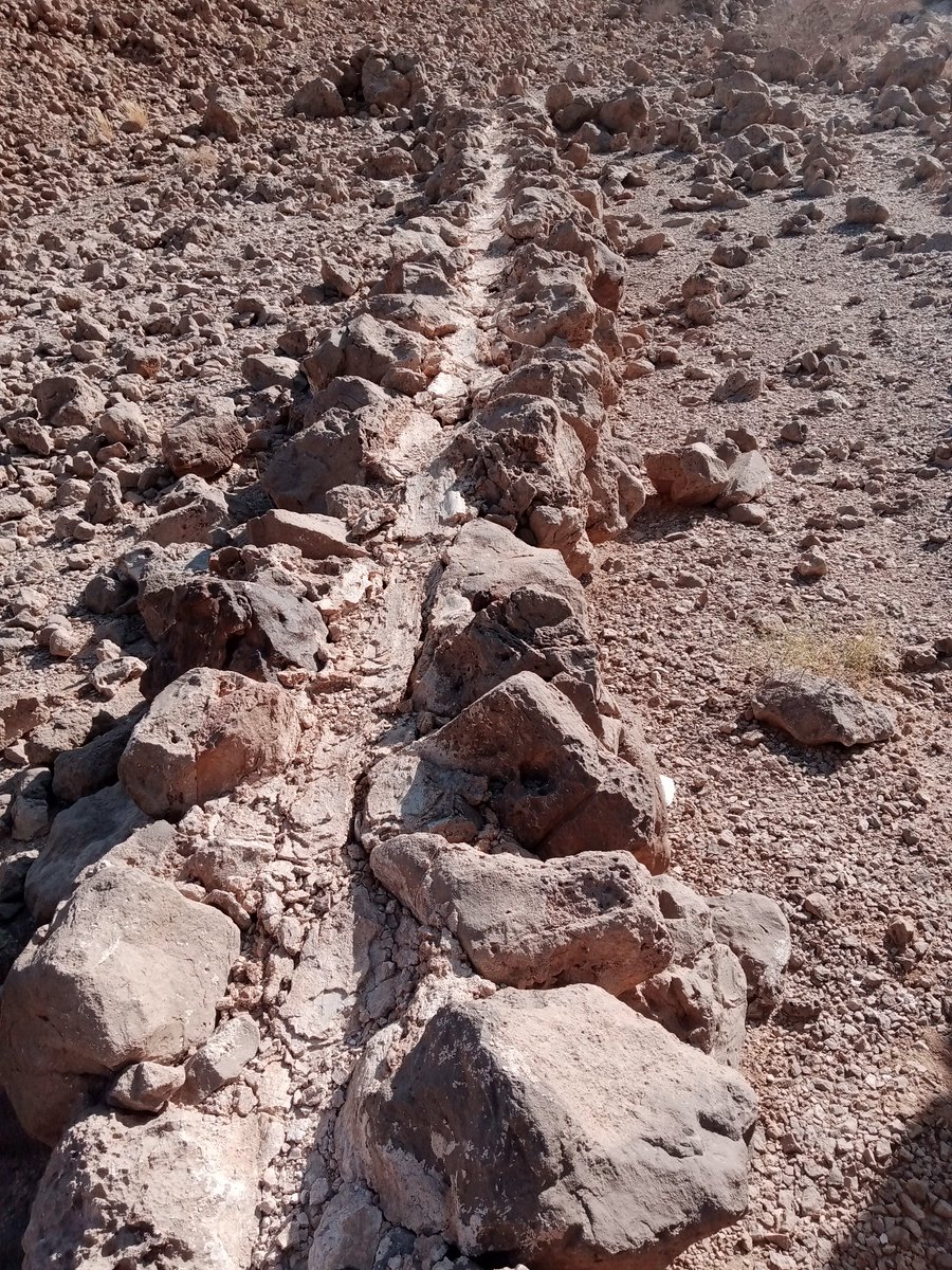 شرارة التعيسة tweet media