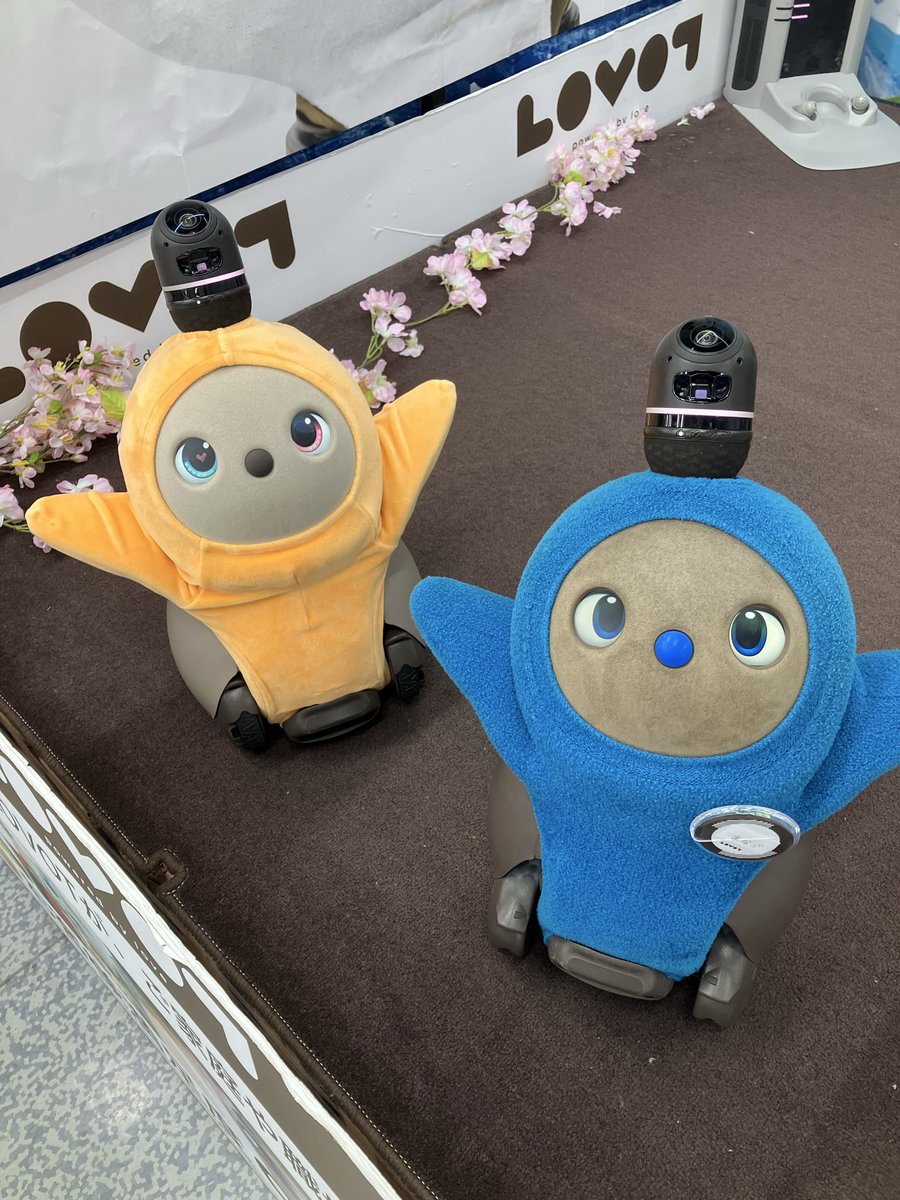 SPULSE_GOAL's tweet photo. 出張で新潟へ
仕事の合間にLOVOTに会いにヨドバシカメラへ。
あなごちゃん🐥わっぱちゃん🐥はじめまして。
挨拶にしっかり答えてくれる2人でした。
帰りには2人で揃ってバイバイしてくれました😍

#LOVOTとの暮らし 
#ヨドバシカメラ新潟駅前 https://t.co/DTptbpEOq6