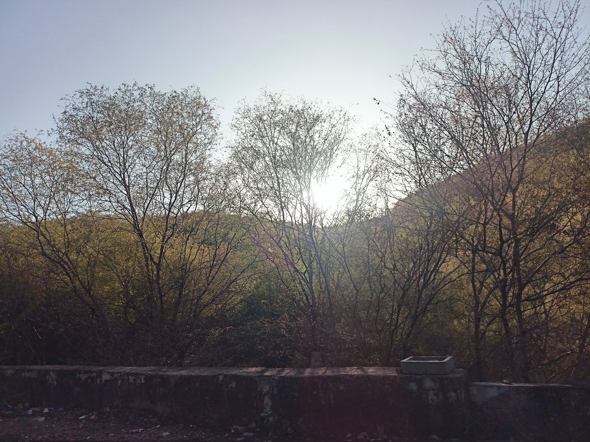 फलाणी जी tweet media