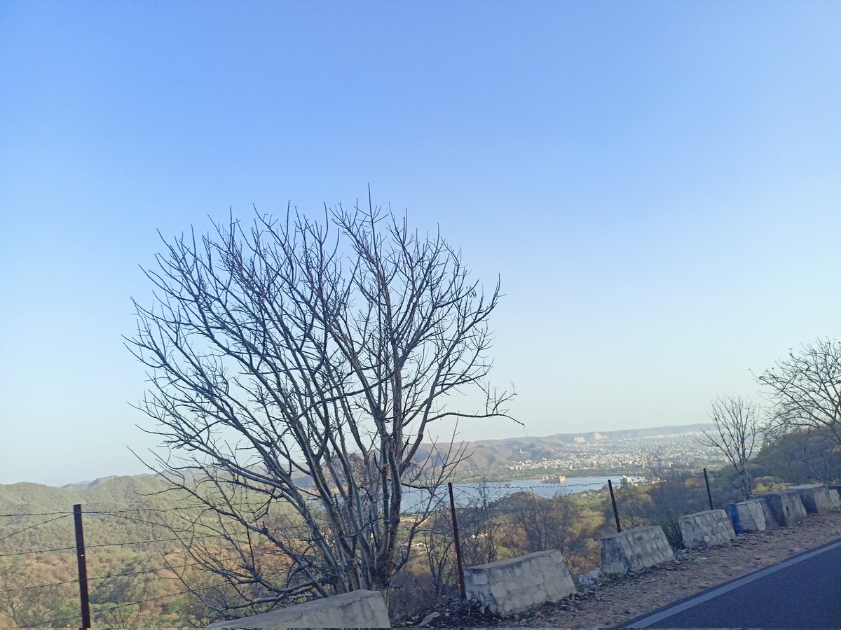 फलाणी जी tweet media