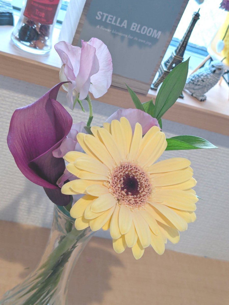 忘れてた

#STELLABLOOM
#hanameku
<a href="/TETSUYA_STAFF/">TETSUYA OFFICIAL</a>