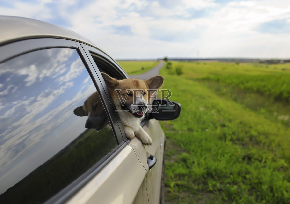 齋藤昭光 tweet media