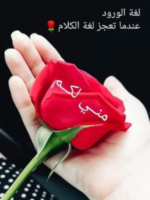 ❤️احساس شاعر ❤️ tweet media