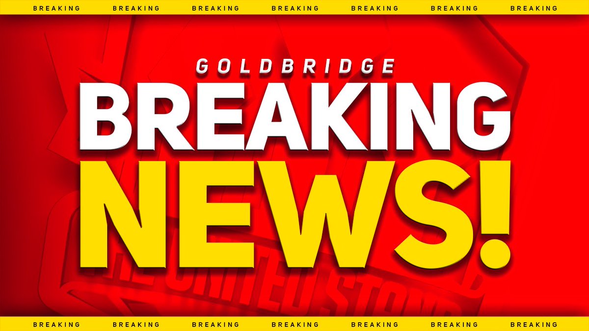 Mark Goldbridge tweet media