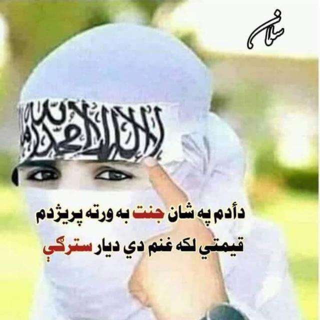 خاطیمه محمدی tweet media