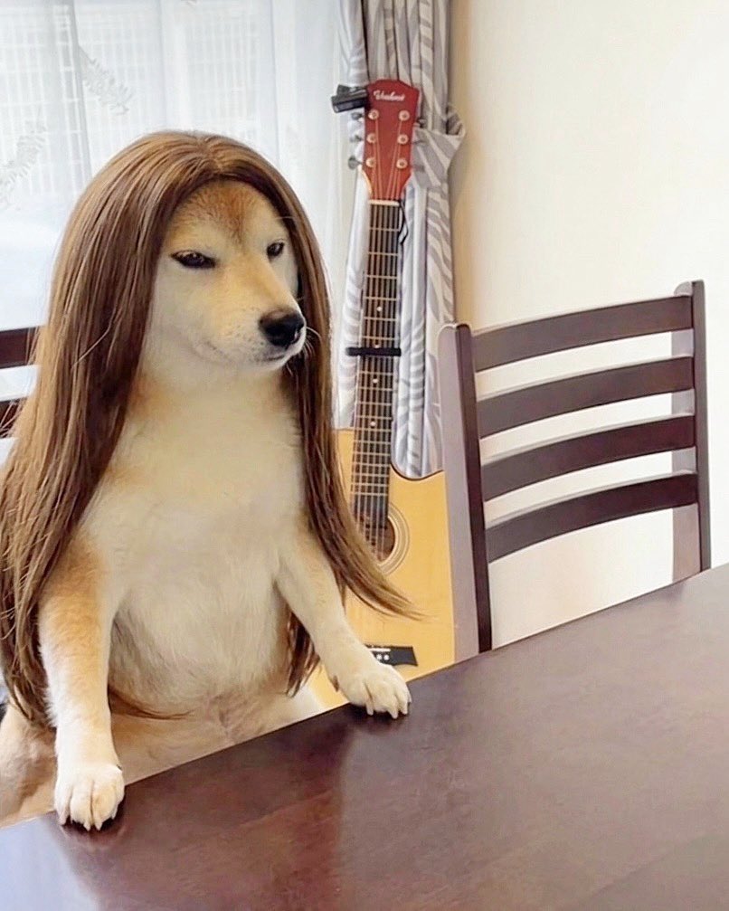 ๆด็ฌยทอยทโกใใ tweet media