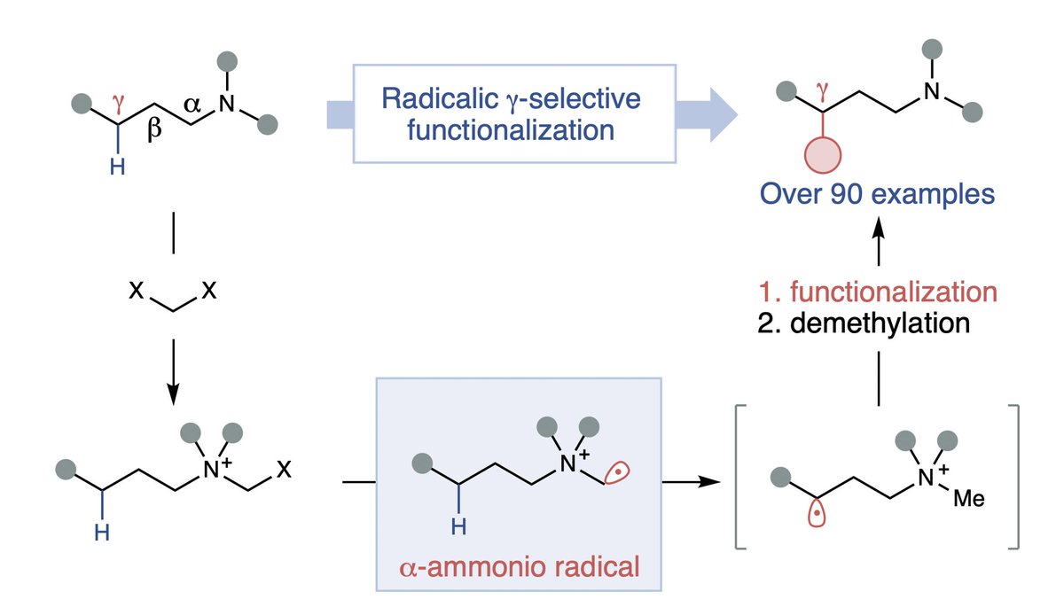 Murakami Lab tweet media