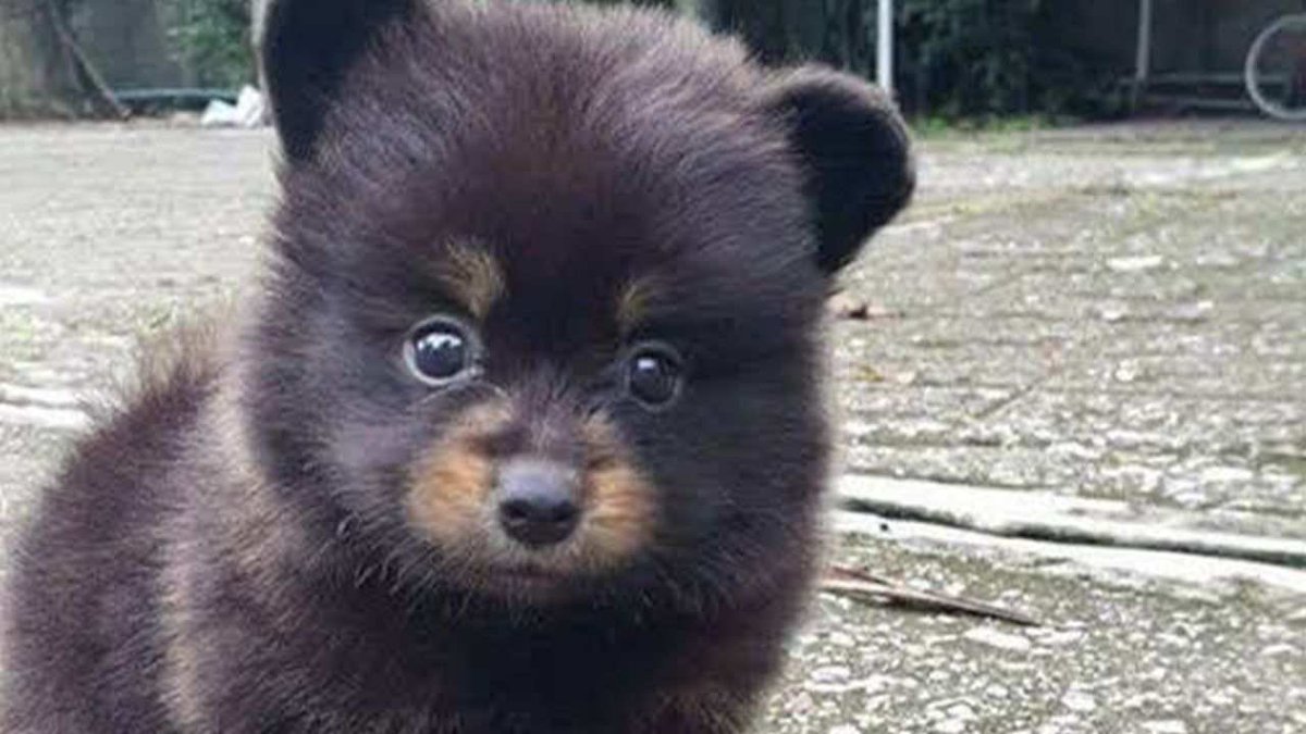 michelle tweet media