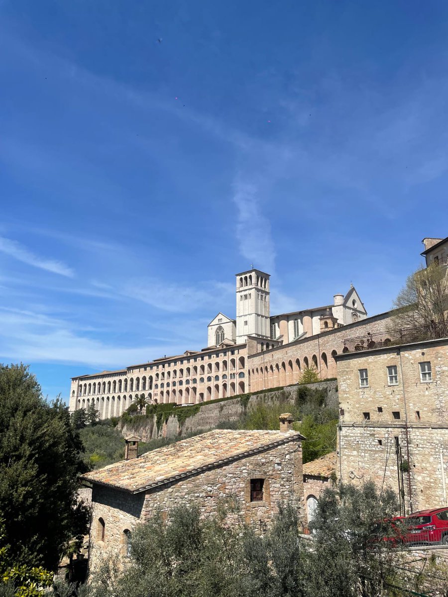 Jara de Domingo tweet media