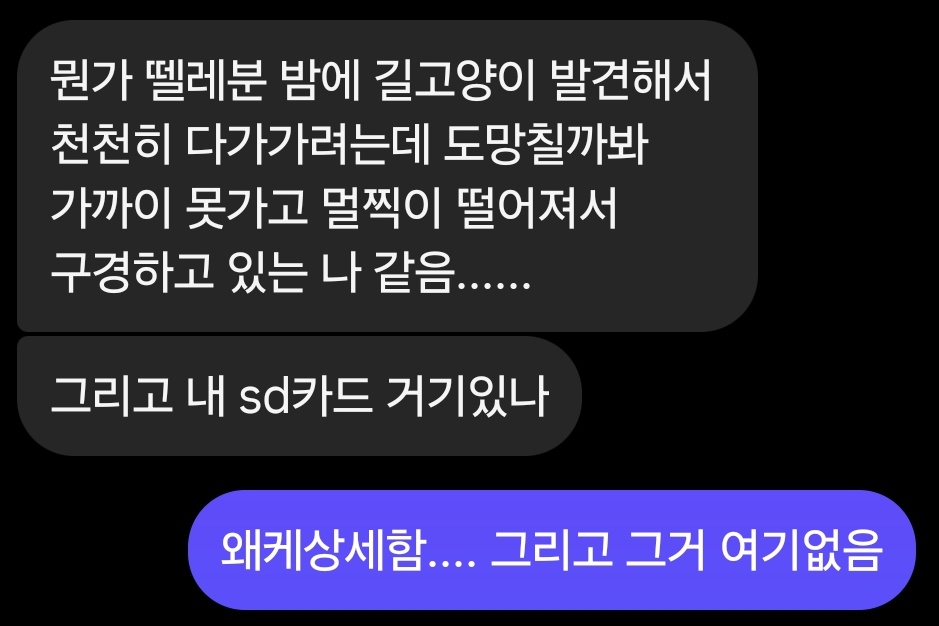 김삼영씨 tweet media