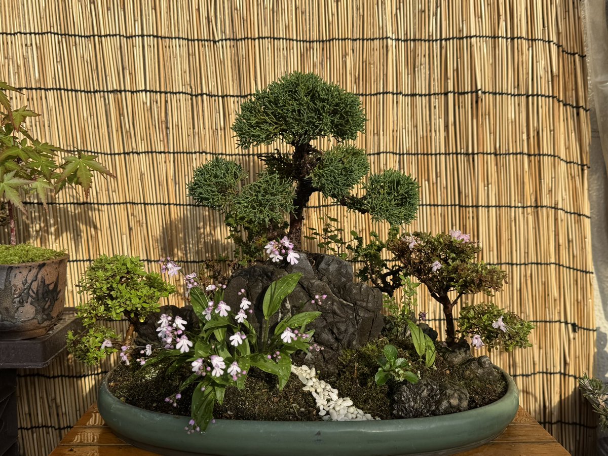 Second Life CBD tweet media