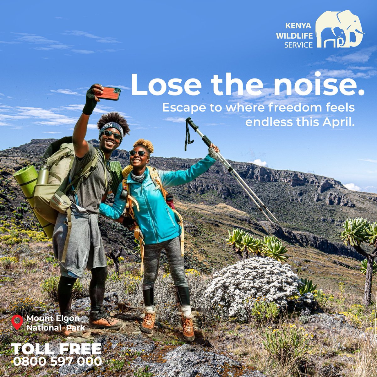 Kenya Wildlife Service tweet media