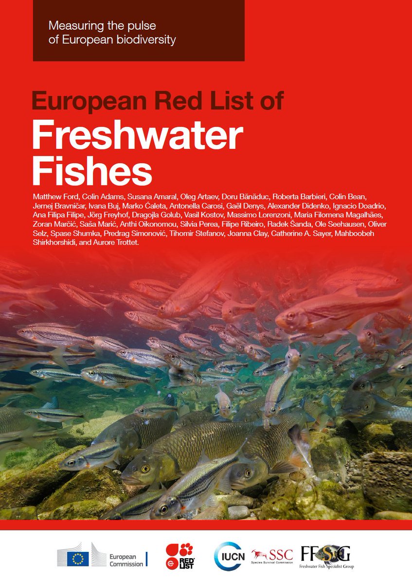 SeriouslyFish's tweet image. 🚨 OUT NOW: European Red List of Freshwater Fishes (2026)

After 5+ years of work, I’m proud to share this major new report, which I had the honour of leading.

👉 Download: op.europa.eu/en/publication…

#Biodiversity #Freshwater #Conservation #EU