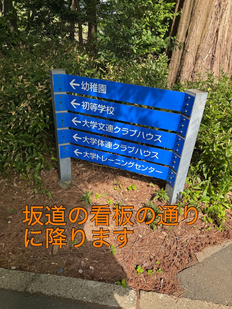 成城大学 生物部 tweet media