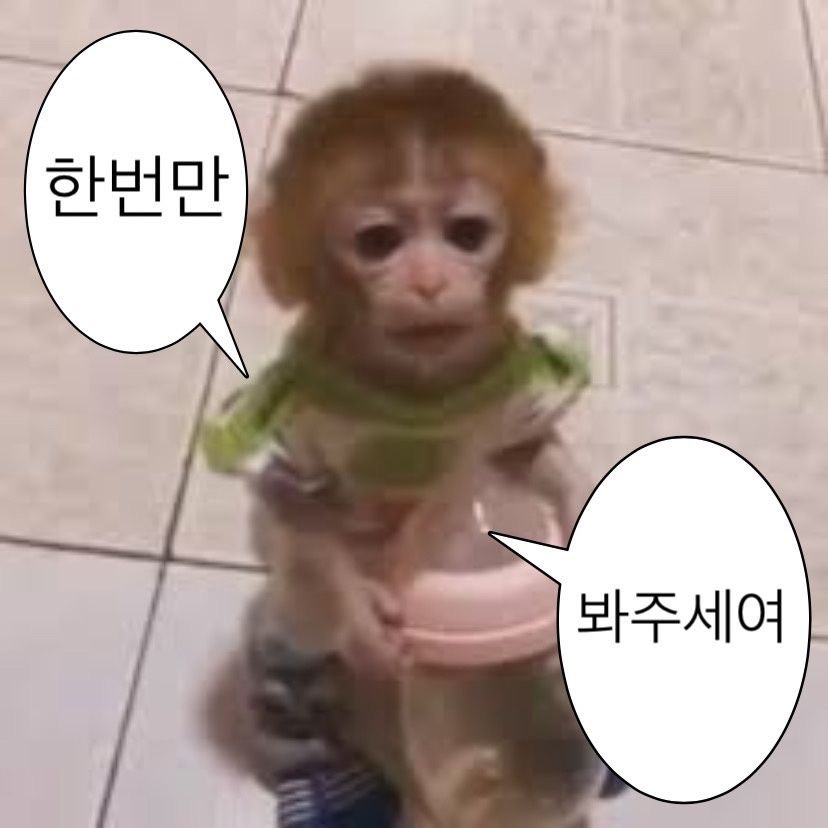 멸종하자제발 tweet media