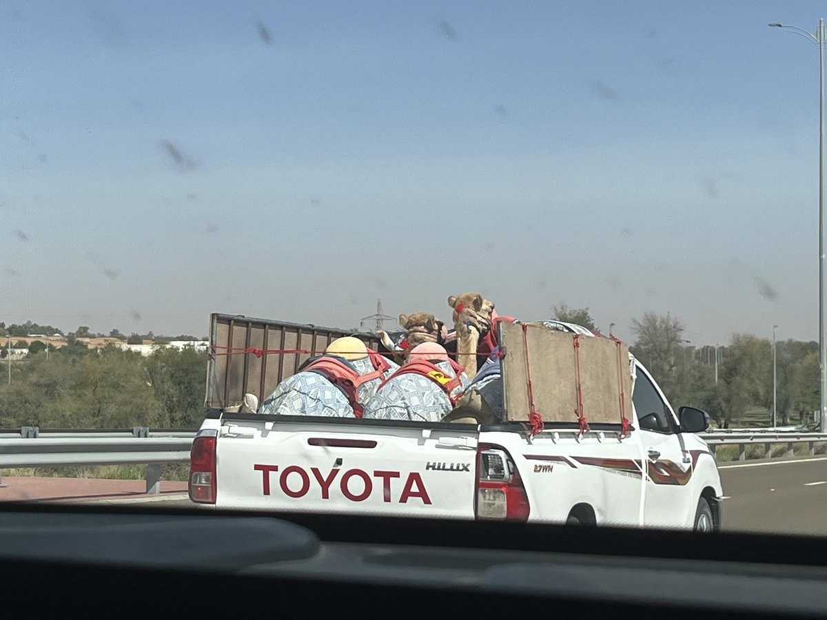 はなもも(hanamomo) tweet media