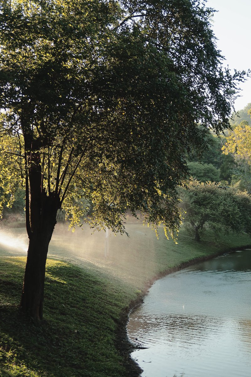 Samuel Christian tweet media