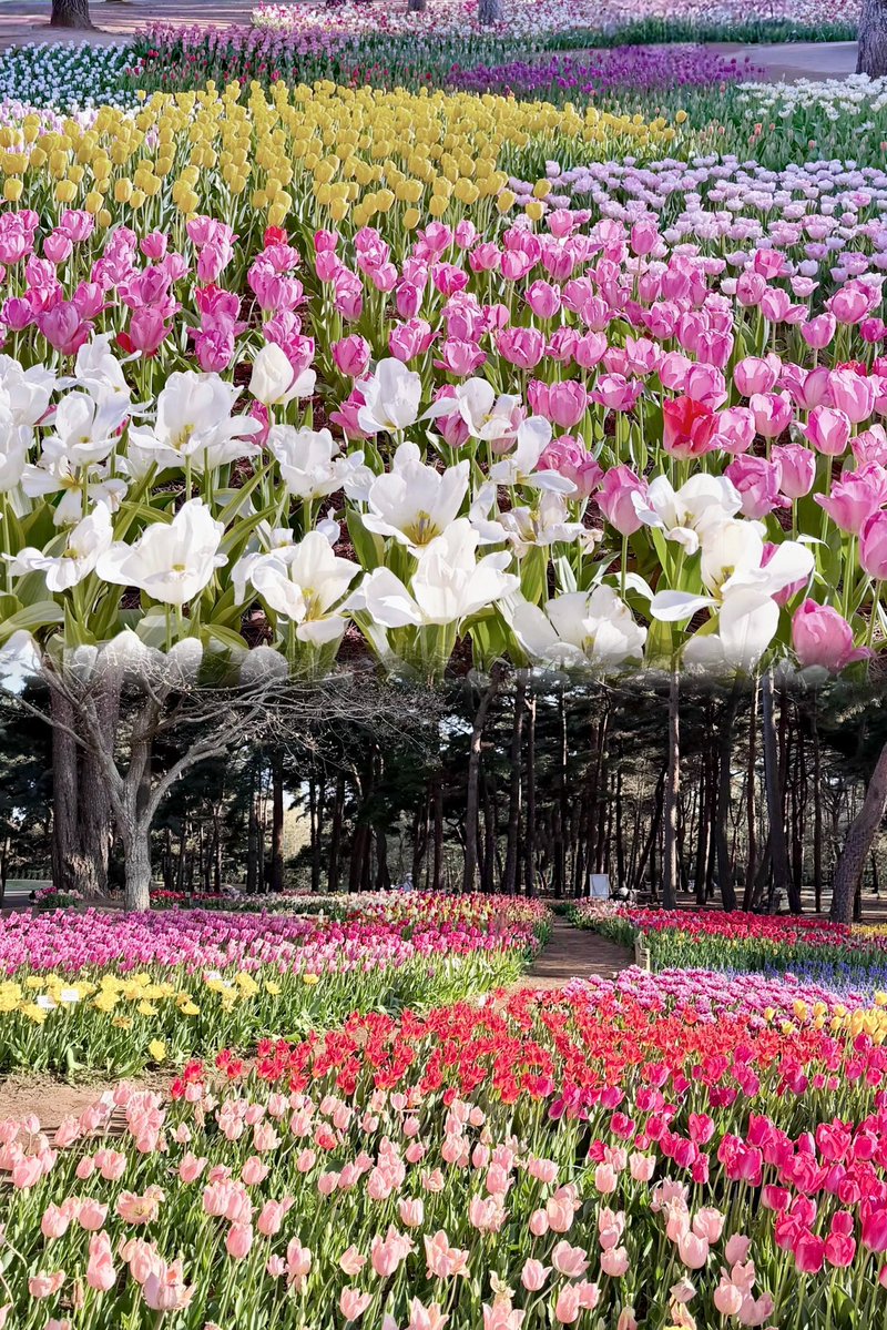 みは♡ tweet media