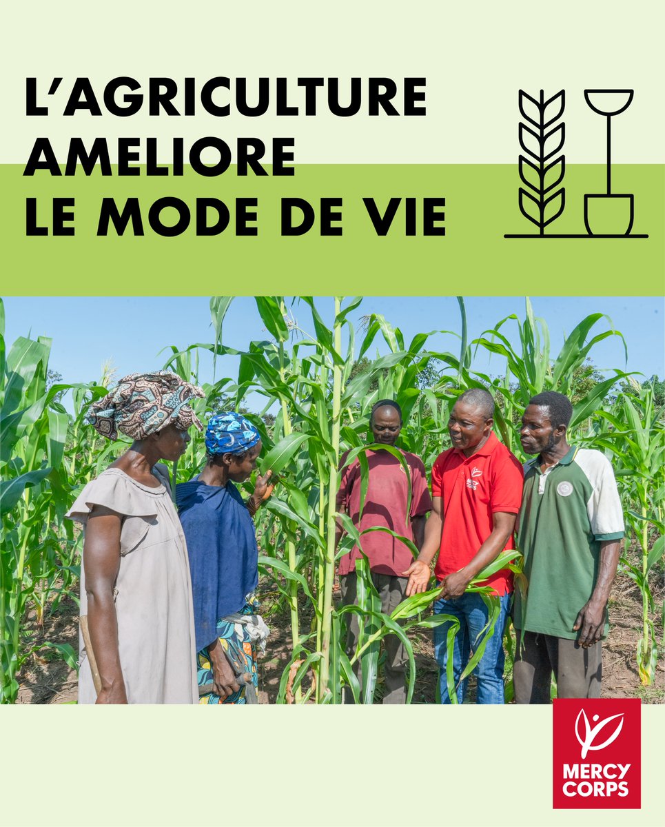 MercyCorpsRDC's tweet photo. 🌱 Au Kasaï, l’agriculture durable redonne espoir.

Grâce au programme Tuya Kumpala, les producteurs adoptent des pratiques résilientes via les Champs Écoles Paysans, renforçant sécurité alimentaire et moyens de subsistance.

#Kasaï #AgricultureDurable #SécuritéAlimentair https://t.co/0xvkVIt6V0