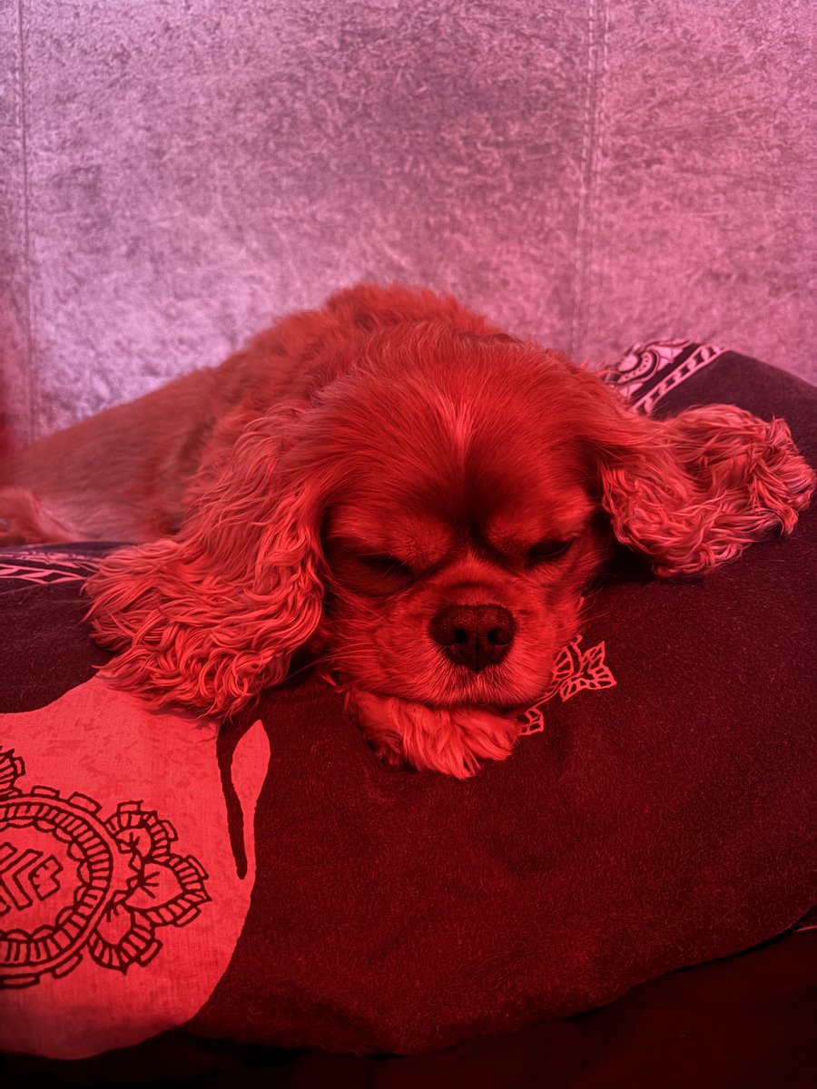 jasper the coolest cav 😎 tweet media