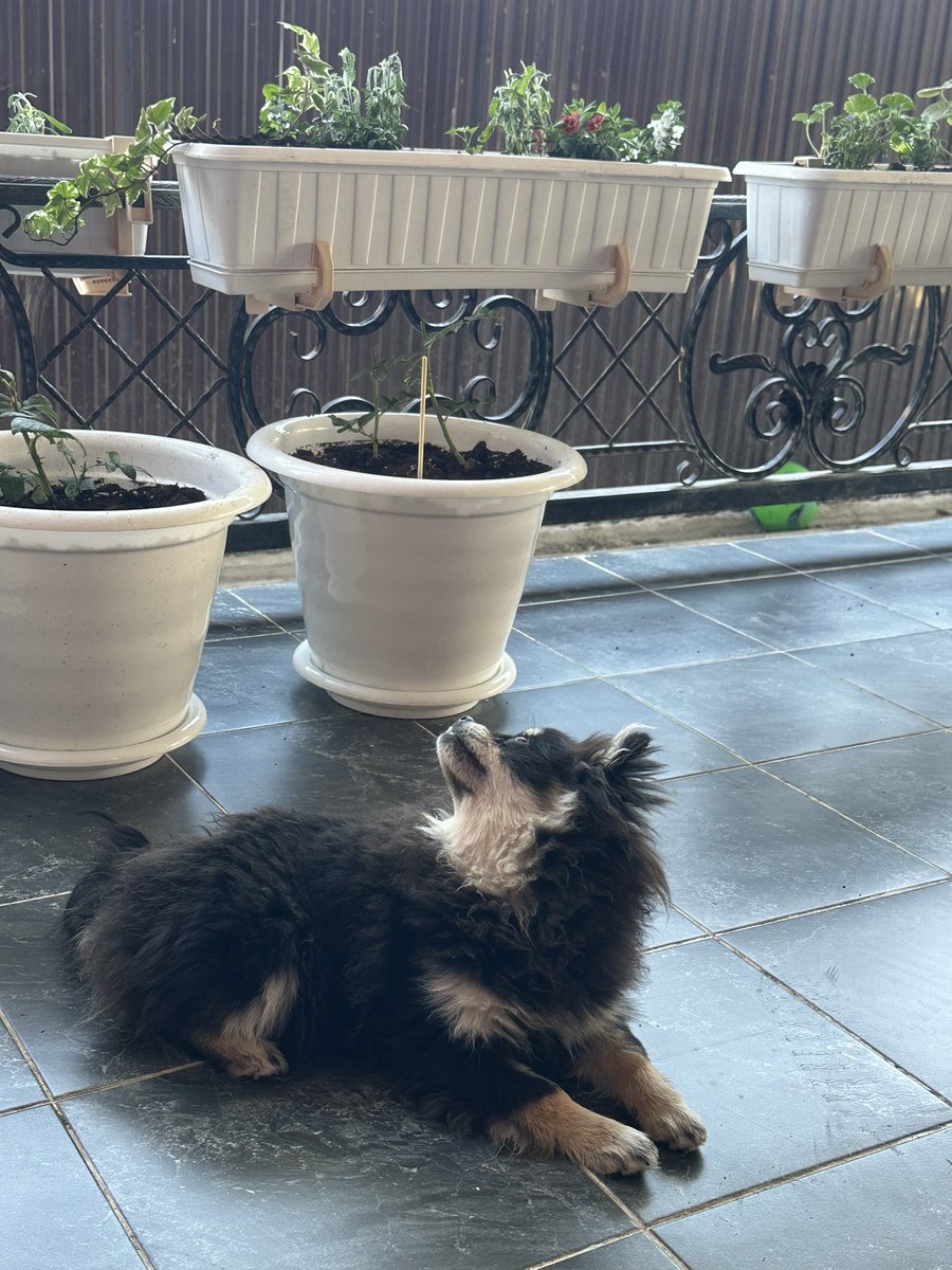 Зая Бала 🌞 tweet media