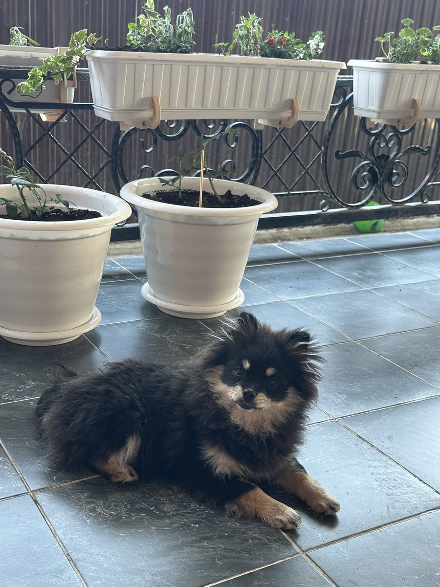 Зая Бала 🌞 tweet media