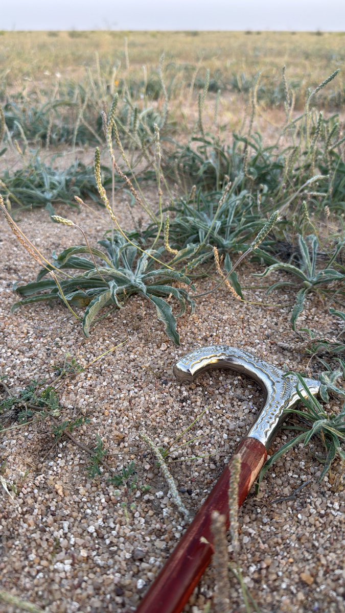 مهّتوي tweet media