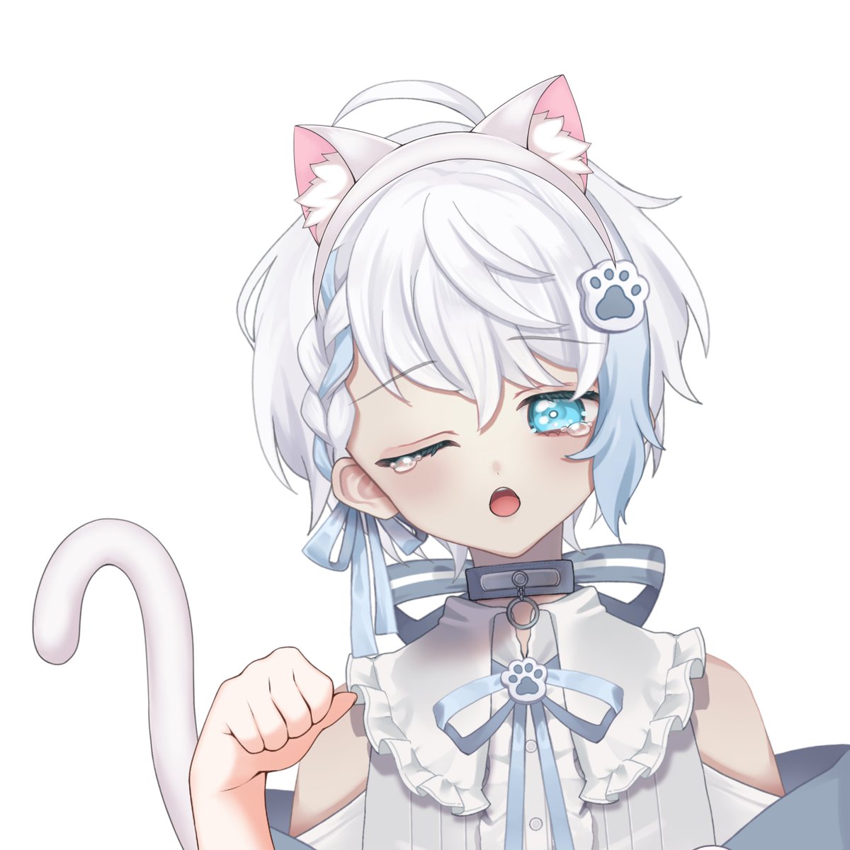 白犬 はくと🐾 tweet media