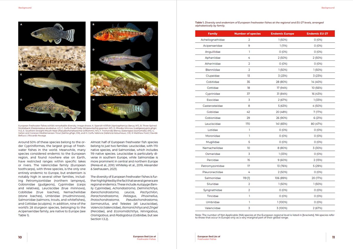 SeriouslyFish's tweet image. 🚨 OUT NOW: European Red List of Freshwater Fishes (2026)

After 5+ years of work, I’m proud to share this major new report, which I had the honour of leading.

👉 Download: op.europa.eu/en/publication…

#Biodiversity #Freshwater #Conservation #EU