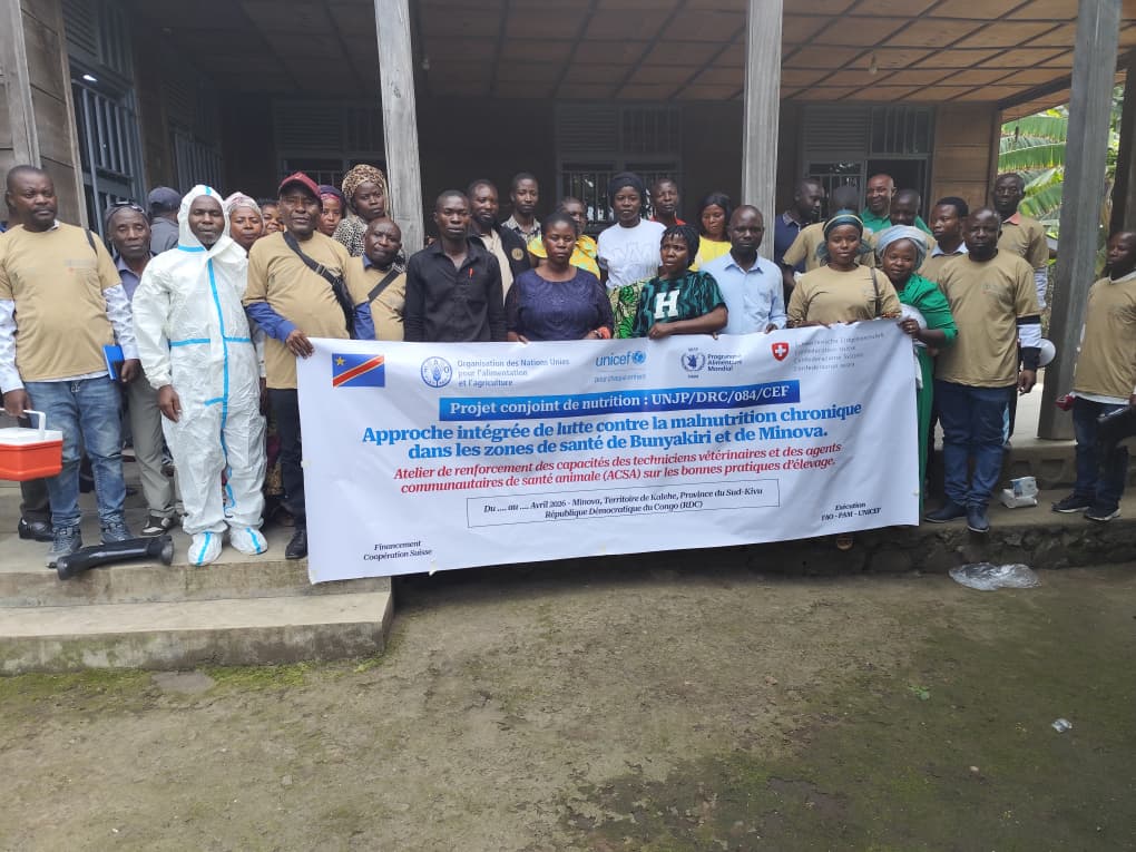 FAORDCongo's tweet image. 🐓 #Minova-Sud Kivu. 
#Projetconjoint de #nutrition,  @FAO, @UNICEF, @WFP_FR et @ICRC_fr, la @FAO. Avec l’appui de #BMZ via la @KfW_FZ_int , la @FAO renforce les capacités des acteurs locaux en #élevage, #surveillanceépidémiologique et prévention des #maladiesanimales

#OneHealth