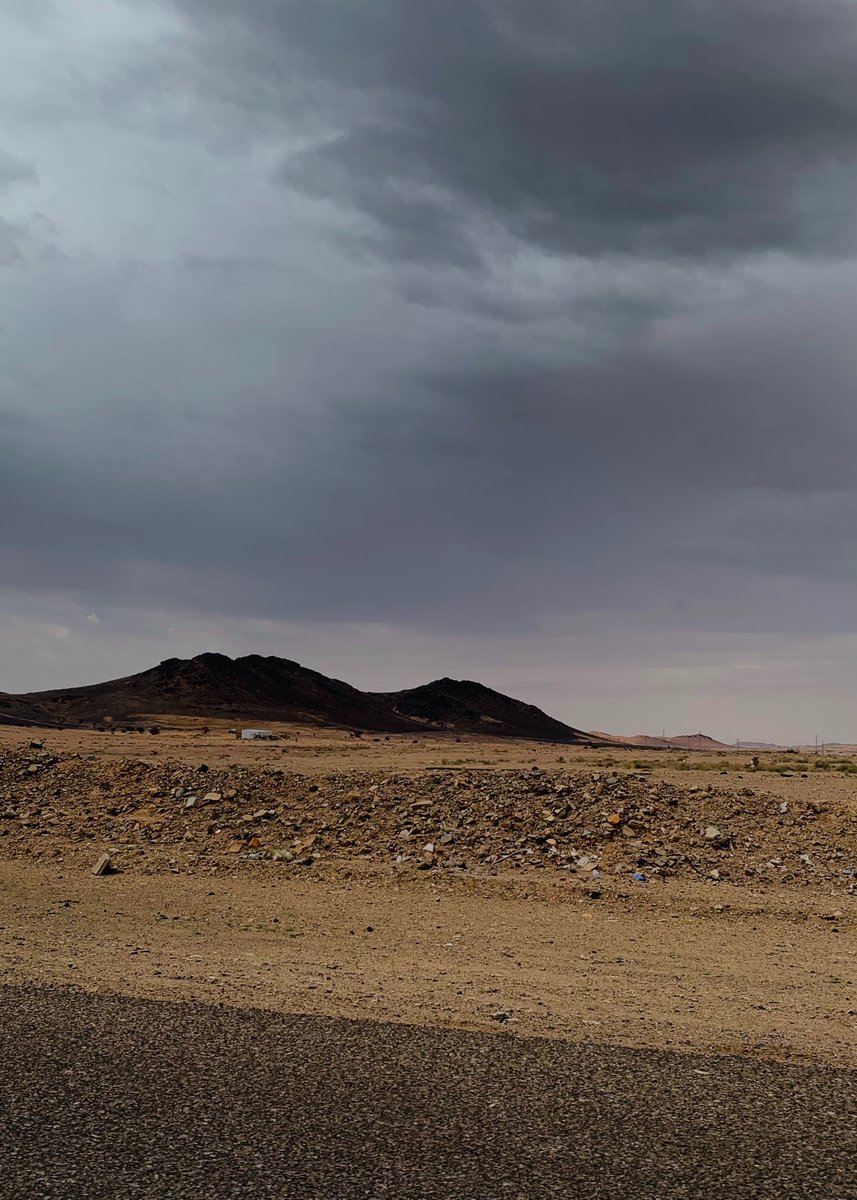 ريّـه العتيبي 🇸🇦 tweet media