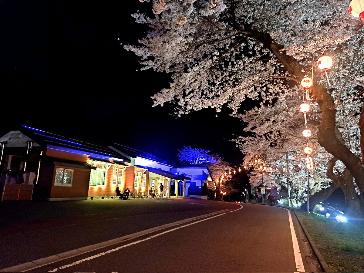 VTEC33272478's tweet photo. 奥会津柳津は桜満開！
最後の写真の只見線は金山町５時台始発列車水沼から https://t.co/bGwlzDdyJR