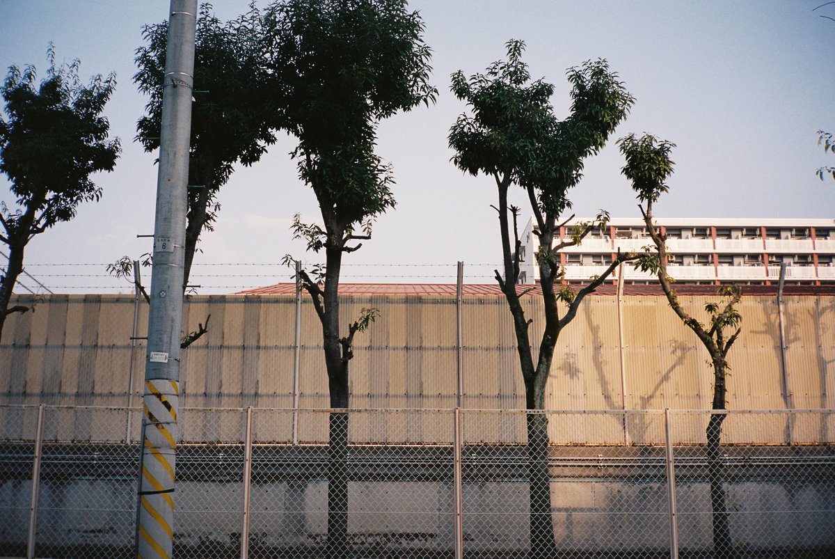 yukohorikiri's tweet image. #punctumpc