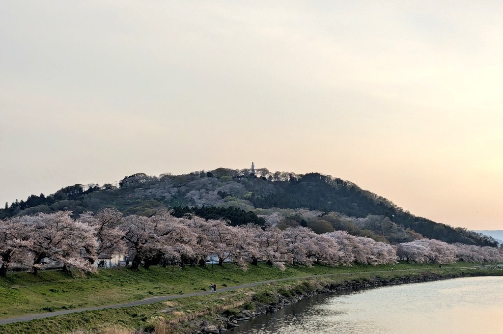 ふるせん@2022JGC修行組&SFC修行2019年組 tweet media