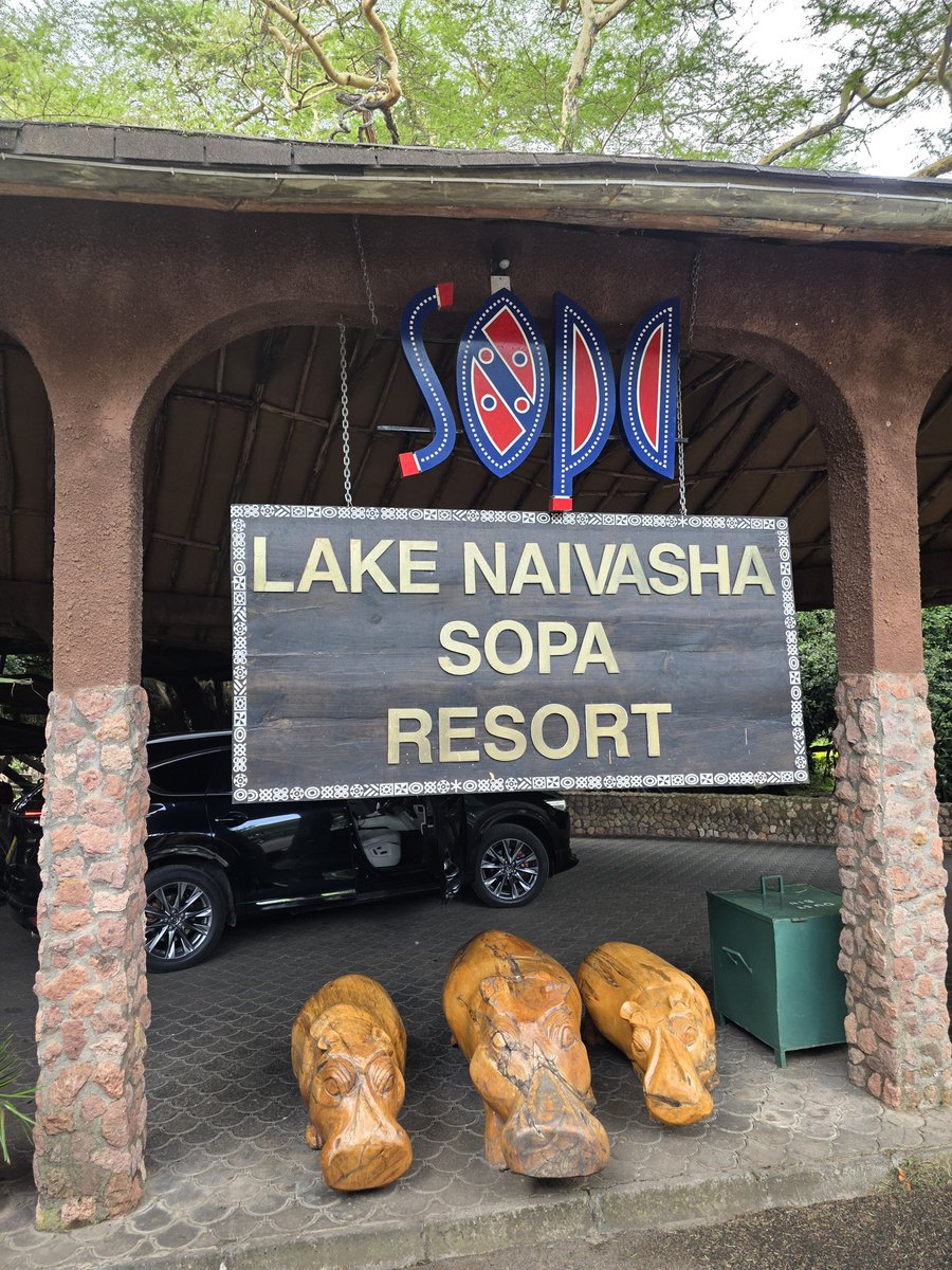 Stejos_Tours's tweet photo. If peace had a destination, it would be here
Who’s adding Lake Naivasha Sopa Resort to their travel list?
#LakeNaivashaSopaResort #Sopalodges #LakeNaivasha #ExperienceNaivasha https://t.co/BuYSN50QzD
