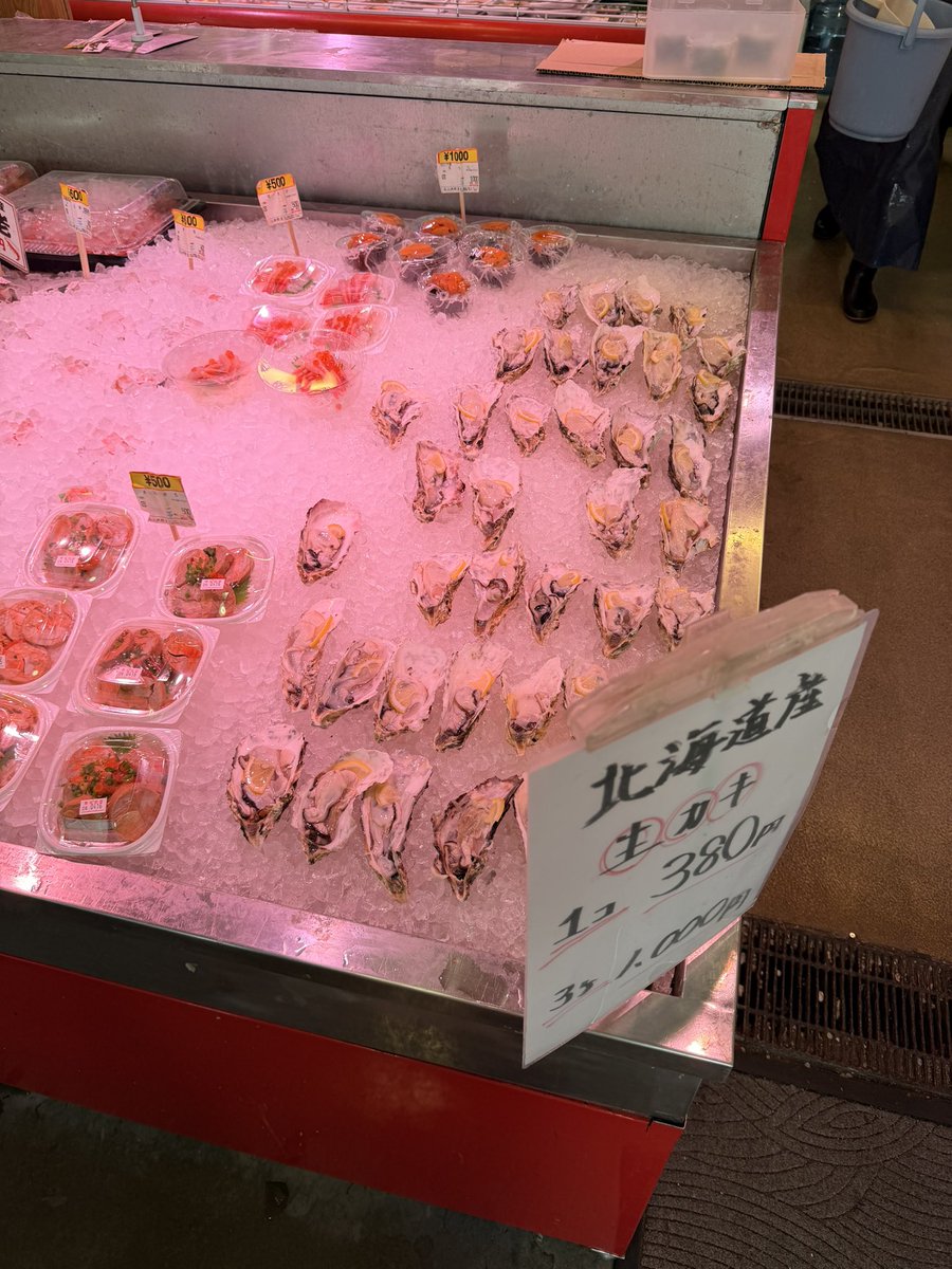 口石めぐみ*(めぐぐ)🦈⛩️ tweet media