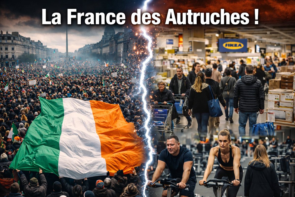 Nicolas Vidal tweet media